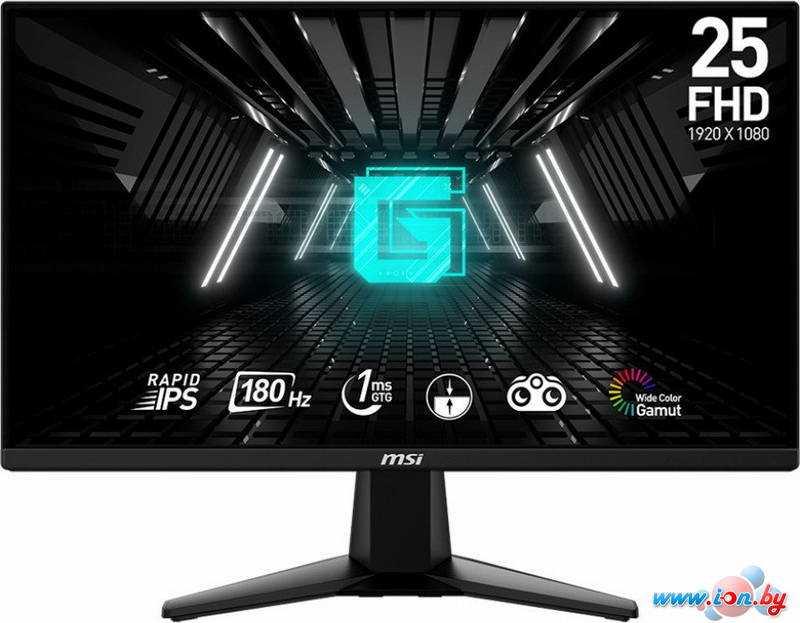 Игровой монитор MSI G255F в Могилёве