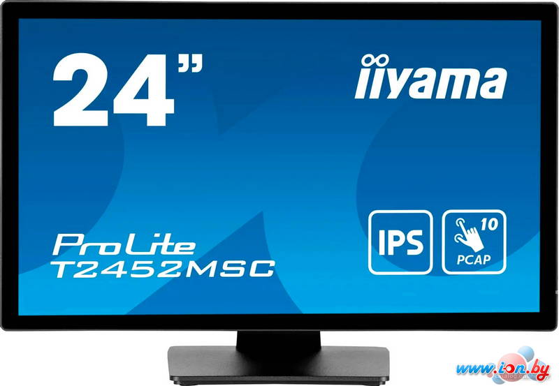 Монитор Iiyama ProLite T2452MSC-B1 в Могилёве