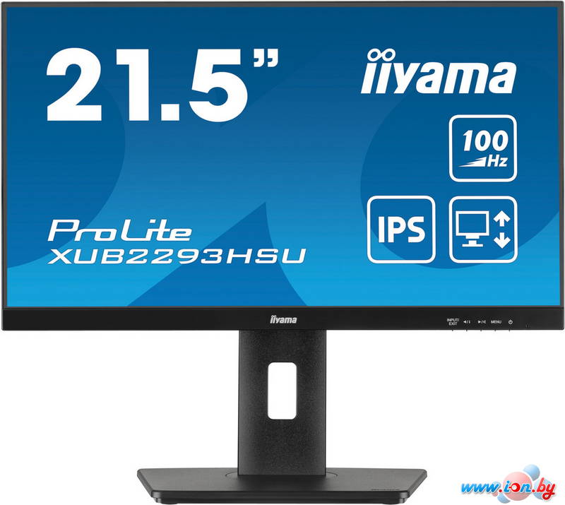 Монитор Iiyama ProLite XUB2293HSU-B6 в Гомеле