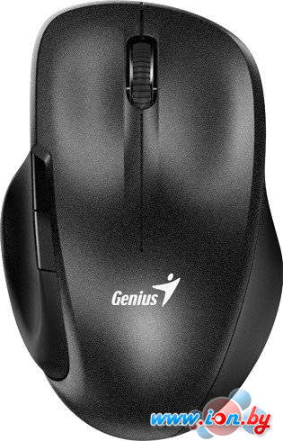 Мышь Genius Ergo 8200S (черный) в Могилёве