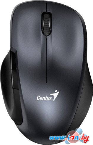 Мышь Genius Ergo 8200S (серый) в Могилёве