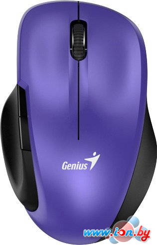 Мышь Genius Ergo 8200S (фиолетовый) в Могилёве