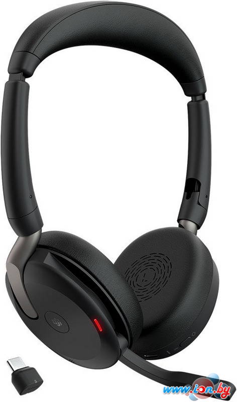 Офисная гарнитура Jabra Evolve2 65 Flex MS Stereo USB-C в Могилёве