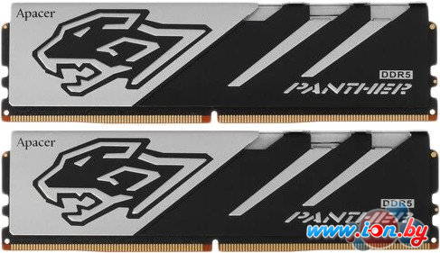 Оперативная память Apacer Panther 2x16ГБ DDR5 6000 МГц AH5U32G60C5127BAA-2 в Могилёве