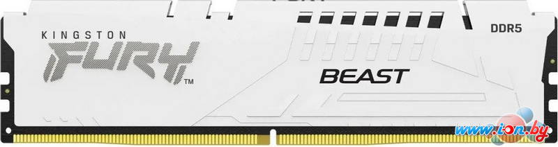 Оперативная память Kingston FURY Beast 16ГБ DDR5 6000 МГц KF560C36BWE2-16 в Могилёве