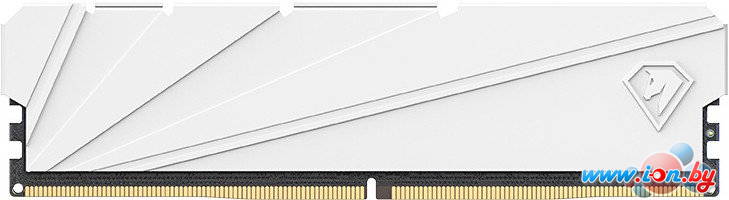 Оперативная память Netac Shadow S 8ГБ DDR4 2666 МГц NTSSD4P26SP-08W в Могилёве