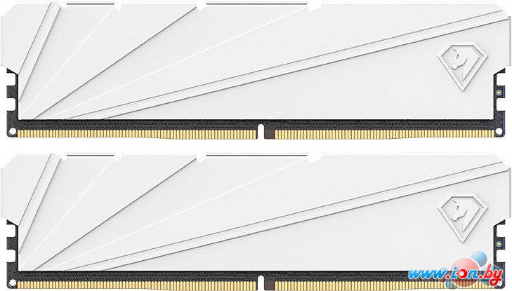 Оперативная память Netac Shadow S 2x8ГБ DDR4 3200 МГц NTSSD4P32DP-16W в Могилёве