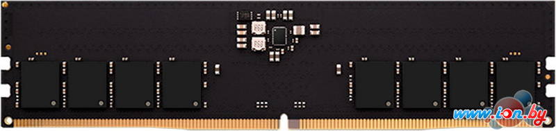 Оперативная память AMD Radeon R5 Entertainment Series 16ГБ DDR5 5600 МГц R5516G5600U1S-U в Могилёве