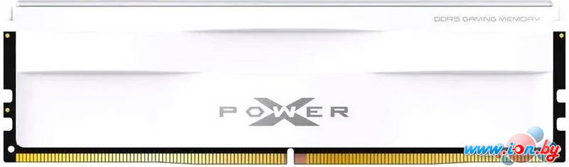 Оперативная память Silicon-Power XPower Zenith 16ГБ DDR5 5600 МГц SP016GXLWU560FSG в Могилёве