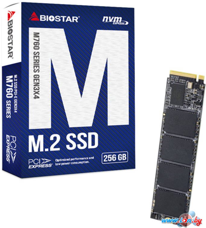 SSD BIOSTAR M760 256GB M760-256GB в Могилёве