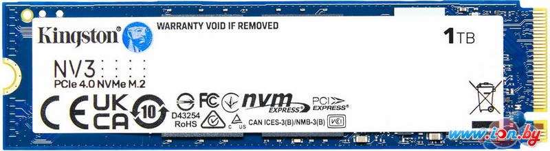 SSD Kingston NV3 1TB SNV3S/1000G в Могилёве