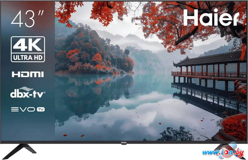 Телевизор Haier 43 Smart TV M1 в Могилёве