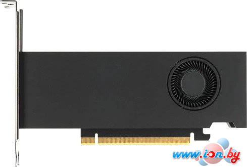 Видеокарта PNY RTX 2000 Ada Generation 16GB GDDR6 VCNRTX2000ADA-SB в Могилёве