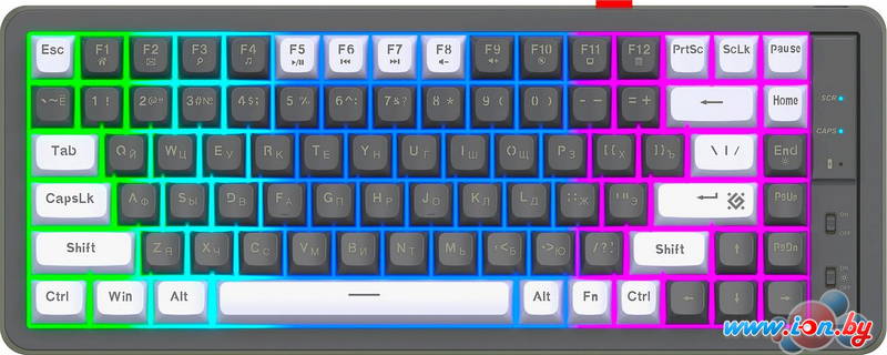 Клавиатура Defender Maro GK-325 (серый/белый) в Могилёве