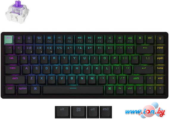 Клавиатура Keychron K2 HE Standart Edition Black K2H-J1 (Nebula Magnetic) в Могилёве