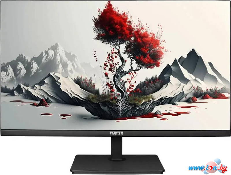 Монитор RDW Computers 2401K/F00В3100V2A1H в Могилёве
