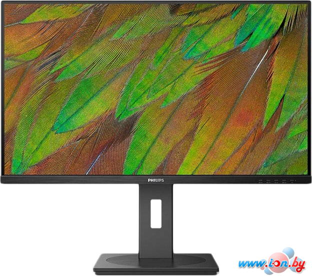 Монитор Philips 32B1U3900/00 в Могилёве