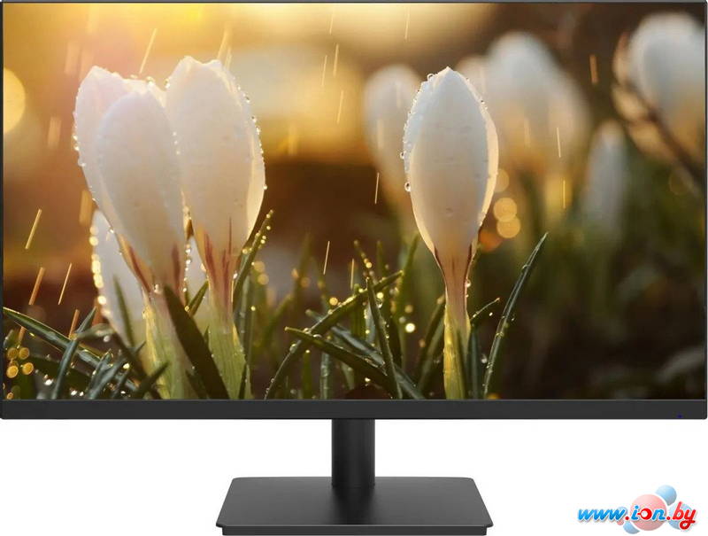 Монитор Dahua DHI-LM24-A201A в Могилёве