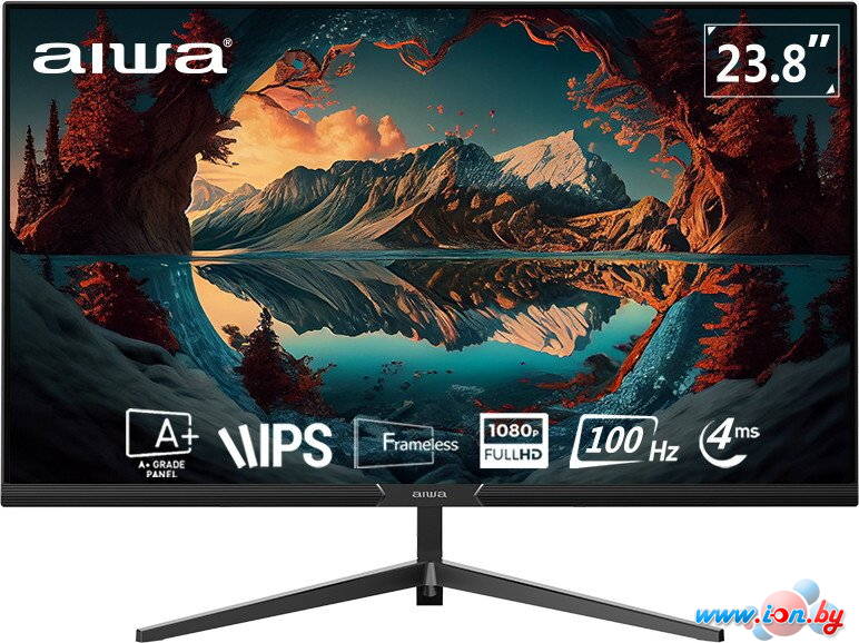 Монитор Aiwa FB-24F100-V3 в Могилёве