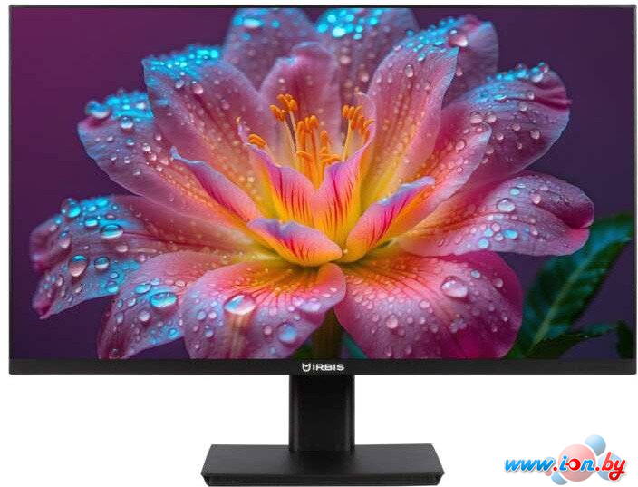 Монитор IRBIS SmartView IMVW24FID01 в Могилёве