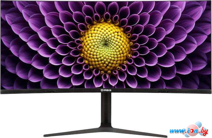 Монитор IRBIS NobleView INV38UIDR в Могилёве