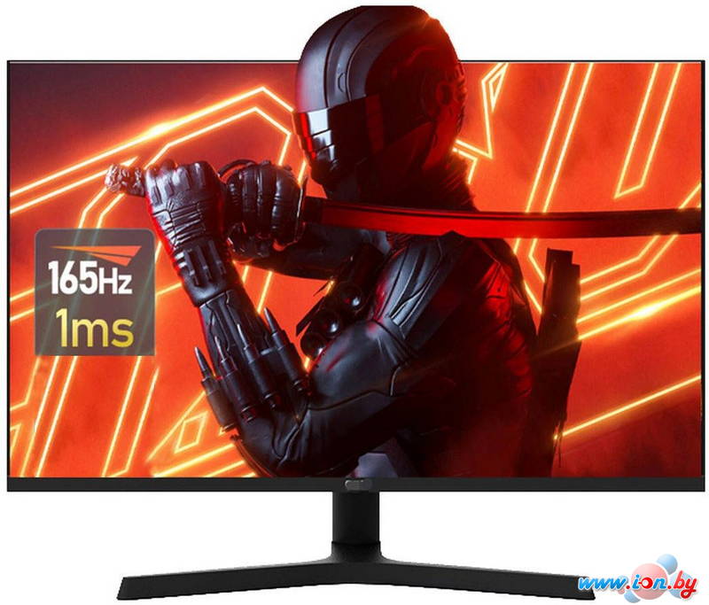 Игровой монитор Aiwa MZ270A в Могилёве