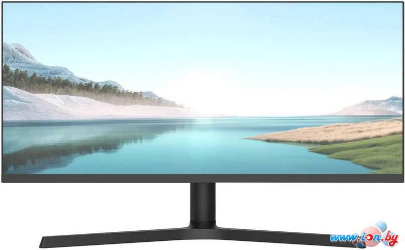 Игровой монитор NPC MZ300L в Могилёве