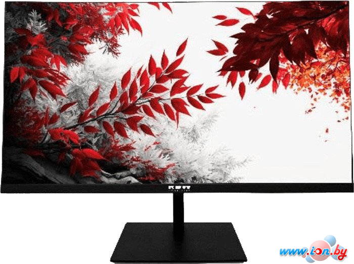 Монитор RDW Computers RDW2702K/Q19В3100V2A1 в Могилёве