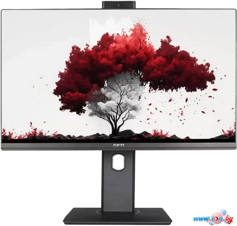 Монитор RDW Computers RDW2402K/F13B360V2A1 в Могилёве
