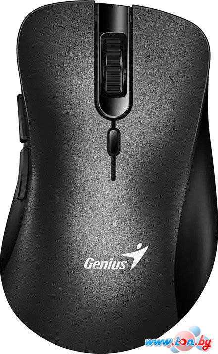 Мышь Genius Ergo 8100S (черный) в Могилёве