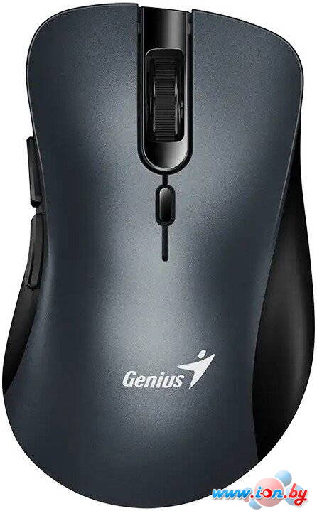 Мышь Genius Ergo 8100S (серый) в Могилёве