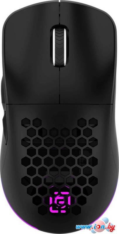 Игровая мышь Оклик 900GMW (черный) в Могилёве