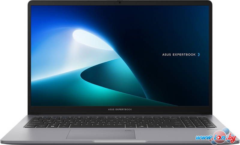 Ноутбук ASUS ExpertBook P1 P1503CVA-S70873 в Могилёве