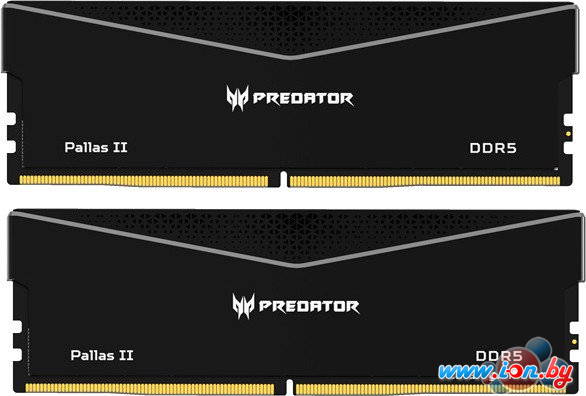 Оперативная память Acer Predator Pallas II 2x32ГБ DDR5 6000 МГц BL.9BWWR.437 в Могилёве