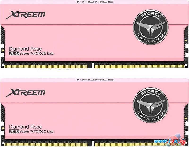 Оперативная память Team T-Force Xtreem 2x16ГБ DDR5 7200 МГц FFPD532G7200HC34ADC01 в Могилёве