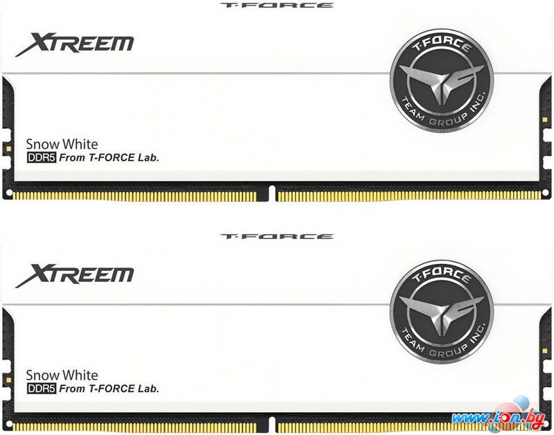 Оперативная память Team T-Force Xtreem 2x16ГБ DDR5 8000 МГц FFWD532G8000HC38DDC01 в Могилёве