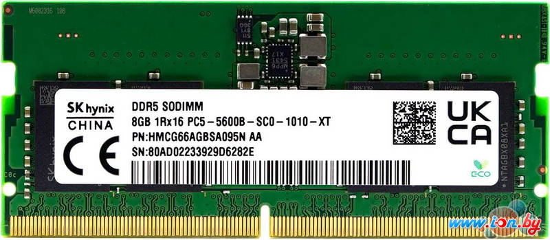 Оперативная память Hynix 8ГБ DDR5 5600 МГц HMCG66AGBSA095N в Могилёве