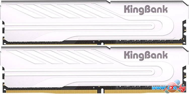 Оперативная память KingBank KJXS 2x8ГБ DDR4 3200 МГц K5.01.FP049C9201 в Могилёве