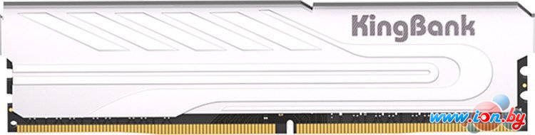 Оперативная память KingBank KJXS 16ГБ DDR4 3200 МГц K5.01.FP049D7201 в Могилёве