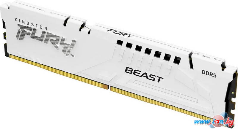 Оперативная память Kingston FURY Beast 16ГБ DDR5 6000 МГц KF560C36BWE-16 в Могилёве