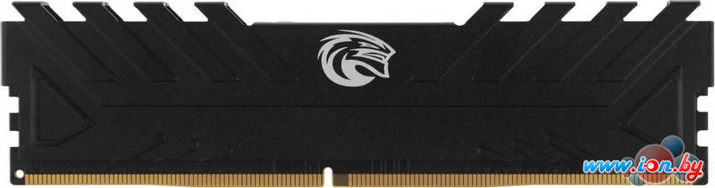 Оперативная память KingSpec Storm 32ГБ DDR4 3200 МГц KS3200D4M13532G в Могилёве Оперативная память KingSpec Storm 32ГБ DDR4 3200 МГц KS3200D4M13532G в Могилёве