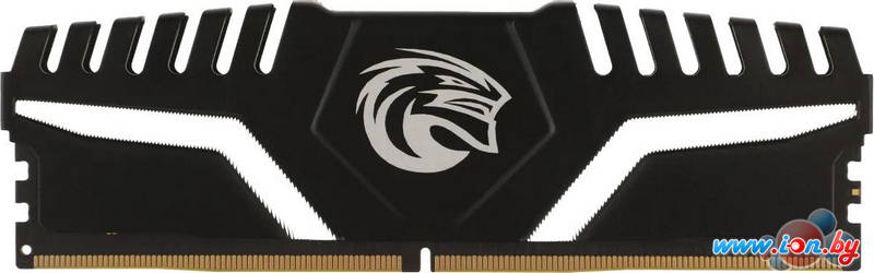 Оперативная память KingSpec Storm 8ГБ DDR5 5600 МГц KS5600D5M13508G в Могилёве Оперативная память KingSpec Storm 8ГБ DDR5 5600 МГц KS5600D5M13508G в Могилёве