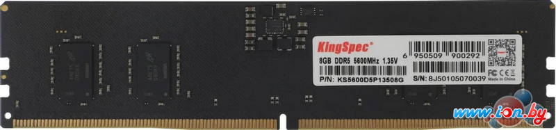 Оперативная память KingSpec 8ГБ DDR5 5600 МГц KS5600D5P13508G в Могилёве Оперативная память KingSpec 8ГБ DDR5 5600 МГц KS5600D5P13508G в Могилёве