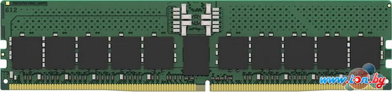 Оперативная память Kingston 32ГБ DDR5 5600 МГц KSM56R46BD8-32HA в Могилёве