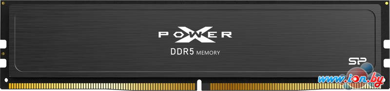 Оперативная память Silicon-Power XPower Pulse 16ГБ DDR5 6400 МГц SP016GXLWU64AFSJ в Могилёве