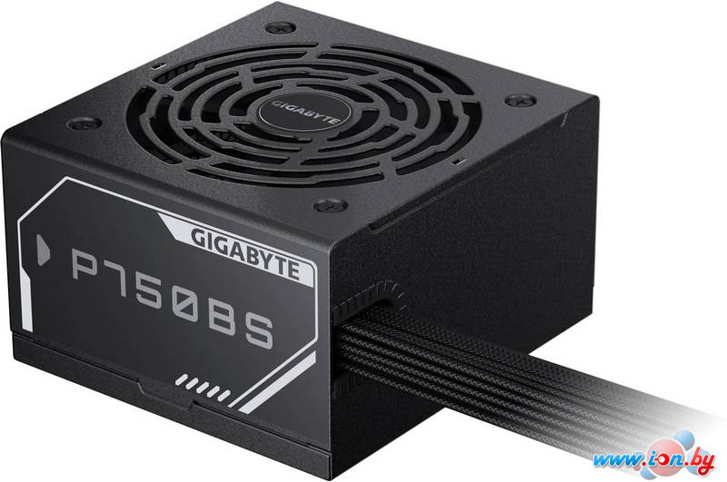 Блок питания Gigabyte P750BS в Могилёве