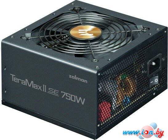 Блок питания Zalman TeramaxII SE 750W ZM750-TMX2SE в Могилёве