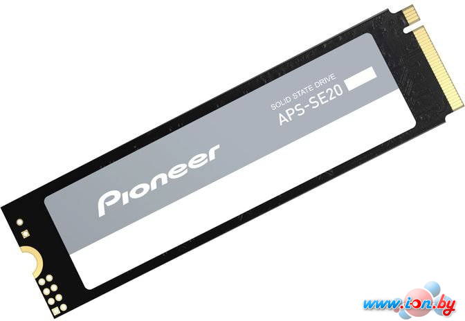 SSD Pioneer APS-SE20-256 256GB в Могилёве