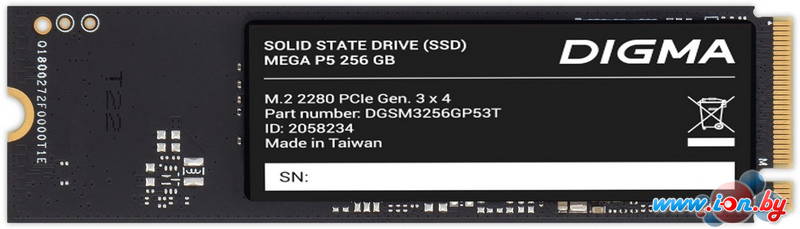 SSD Digma Mega P5 256GB DGSM3256GP53T в Могилёве