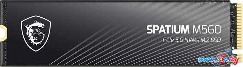 SSD MSI Spatium M560 1TB S78-440L0F0-P83 в Могилёве